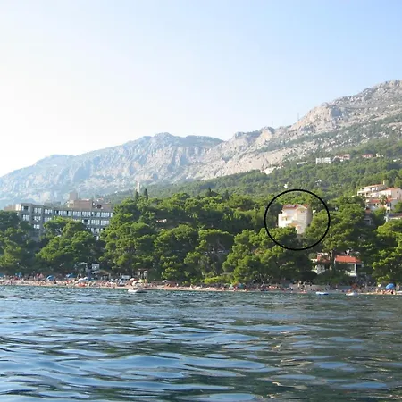 Dalmatino Brela