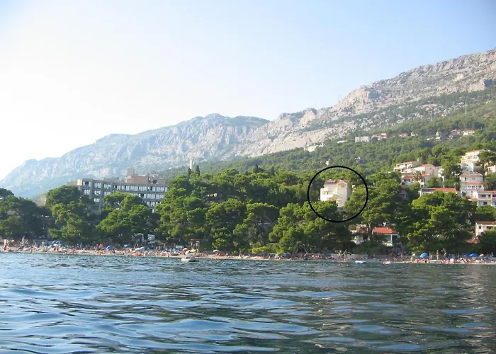 Dalmatino Brela