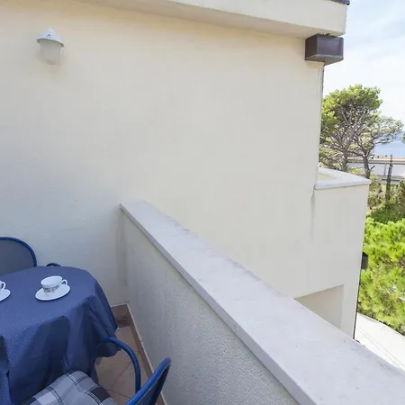 Dalmatino * ブレラ